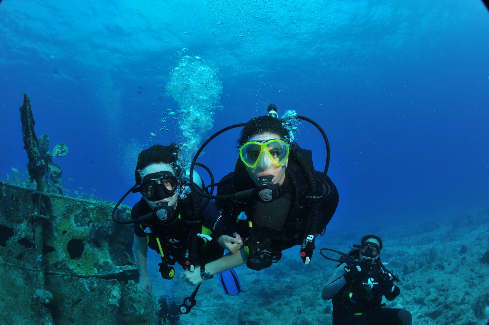 100 Feet Under the Sea « Diary of a Caribbean Med Student